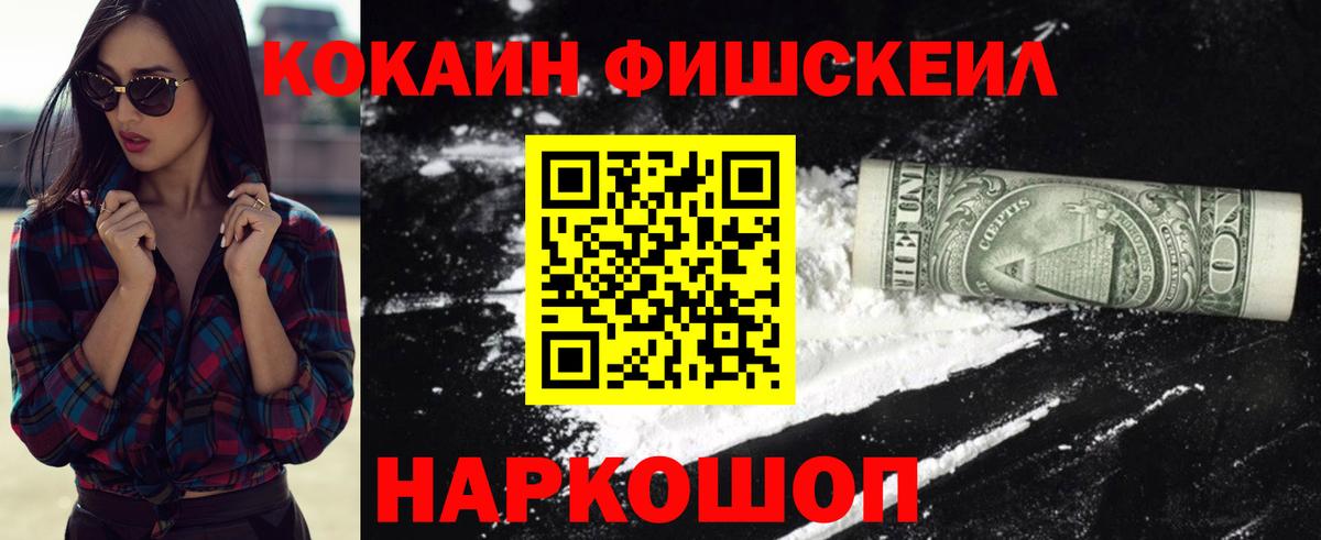 Cocaine FishScale  Вход с VPN  Гусь-Хрустальный 