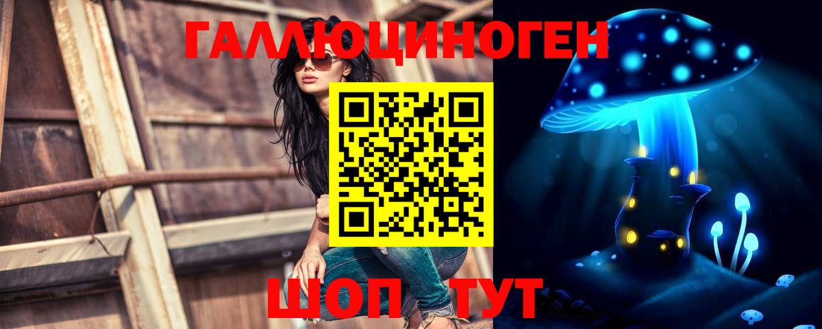 Псилоцибиновые грибы мицелий  Псилоцибиновые грибы мицелий  Вход с VPN  Гусь-Хрустальный 